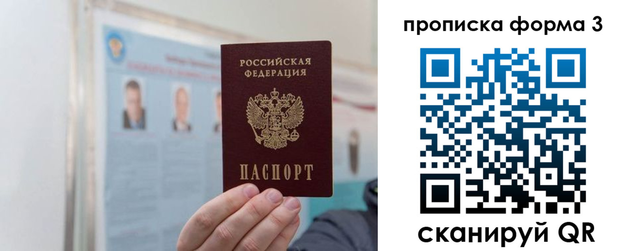 прописка законно в Курчалом